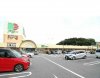 ドミー百々店 ドミー百々店