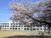 稲羽東小学校学校